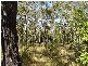 Berajondo QLD 4674