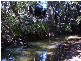 Berajondo QLD 4674