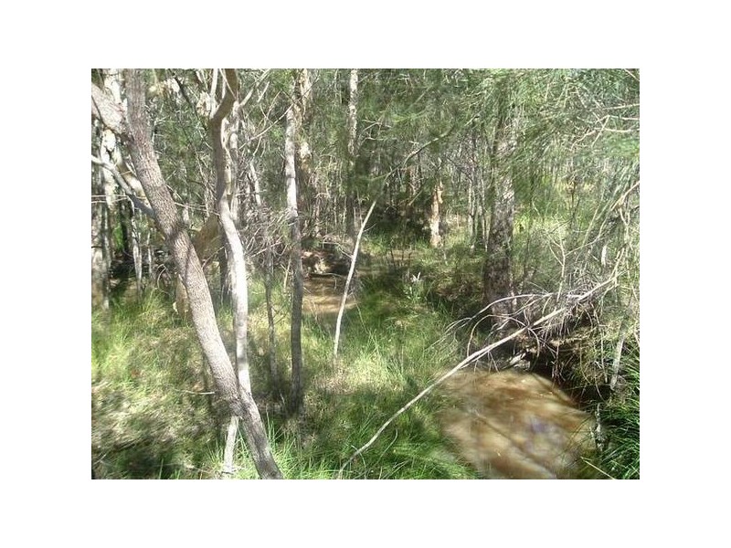 Deepwater QLD 4674