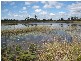 38 Goodwood Road, Redridge QLD 4660