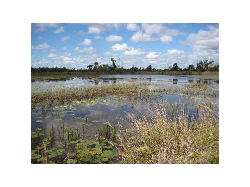 38 Goodwood Road, Redridge QLD 4660