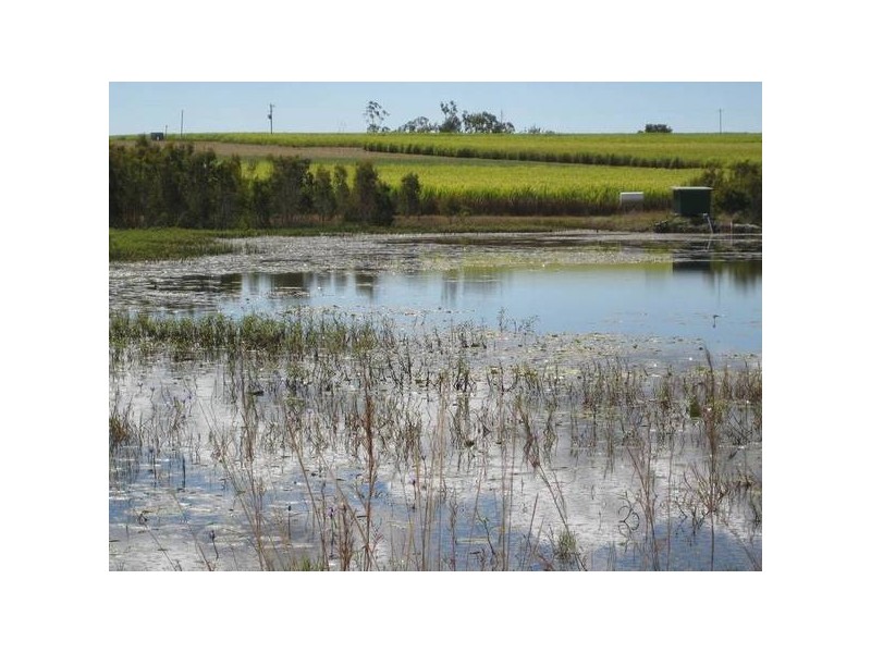 38 Goodwood Road, Redridge QLD 4660