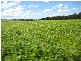 Redridge QLD 4660