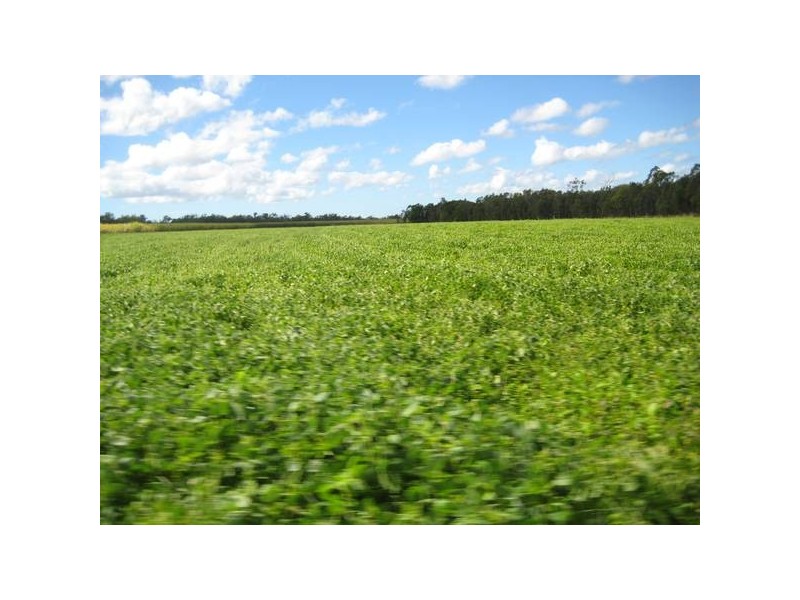 Redridge QLD 4660