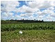 Redridge QLD 4660