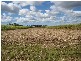 Redridge QLD 4660