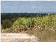 Redridge QLD 4660