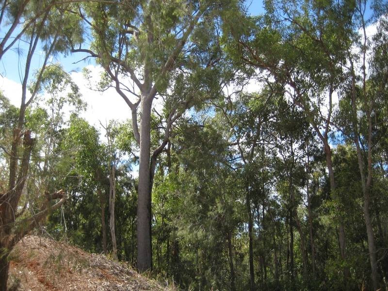 Redridge QLD 4660