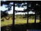 Lowmead QLD 4676