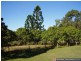 Lowmead QLD 4676