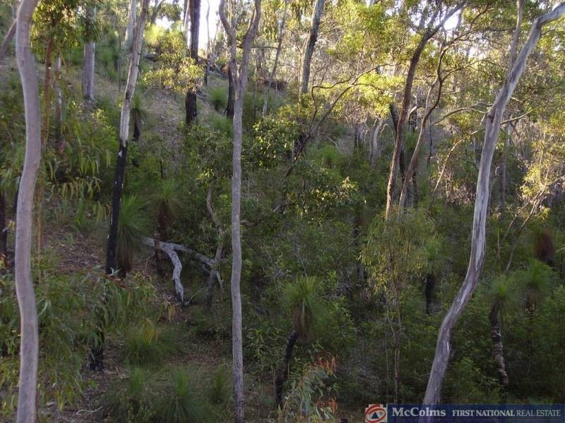 Lowmead QLD 4676