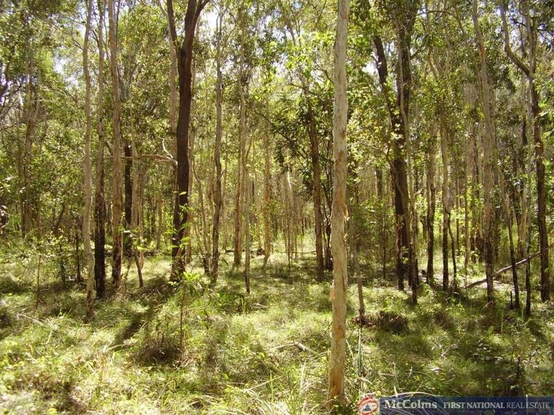 Baffle Creek QLD 4674