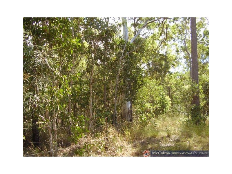 Baffle Creek QLD 4674