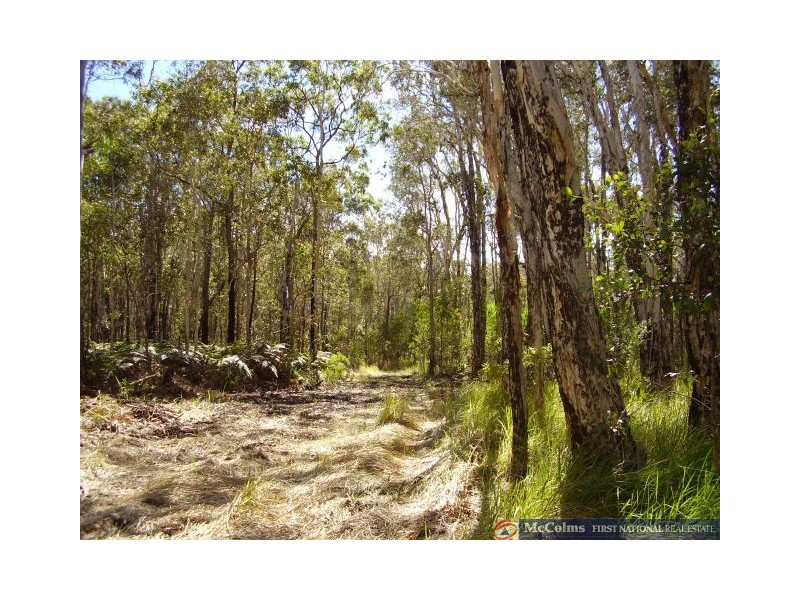 Baffle Creek QLD 4674