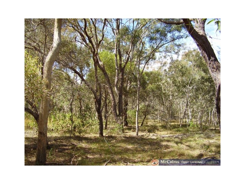 Baffle Creek QLD 4674