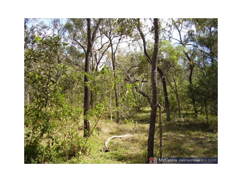 Baffle Creek QLD 4674
