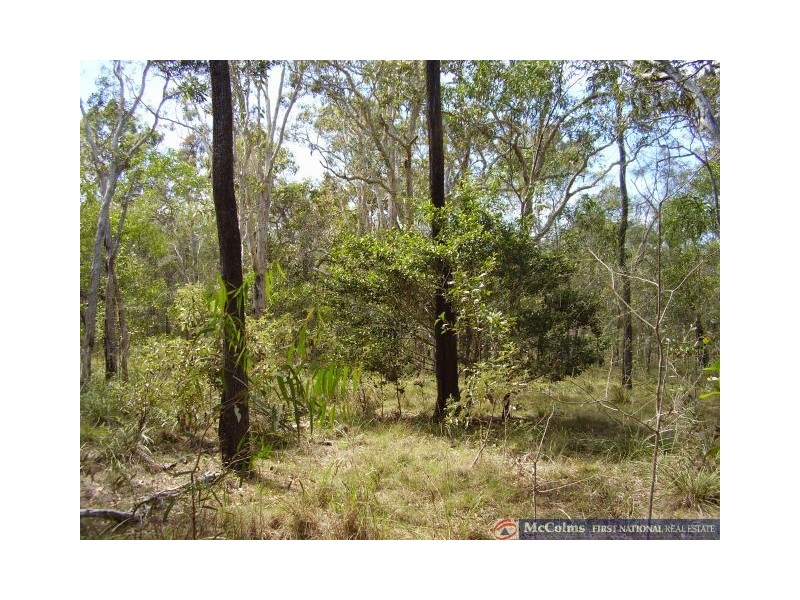 Baffle Creek QLD 4674