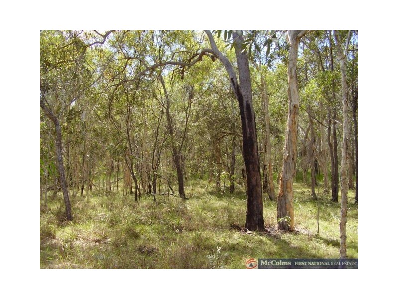 Baffle Creek QLD 4674