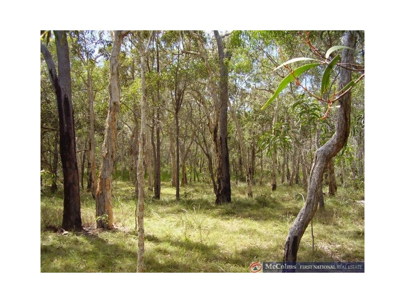 Baffle Creek QLD 4674