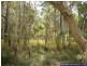 Baffle Creek QLD 4674