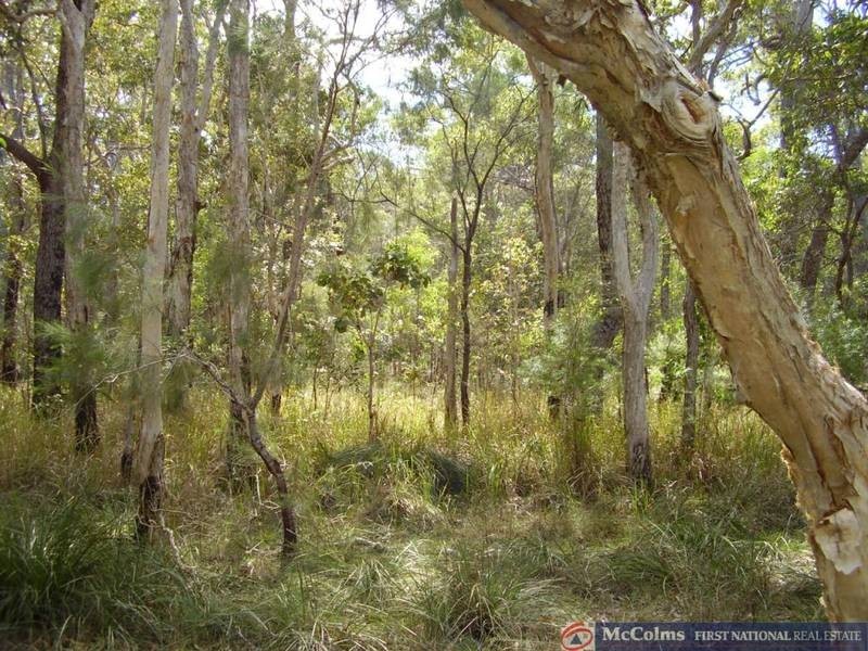 Baffle Creek QLD 4674