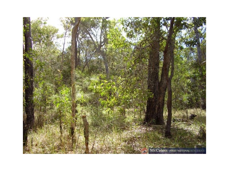 Baffle Creek QLD 4674