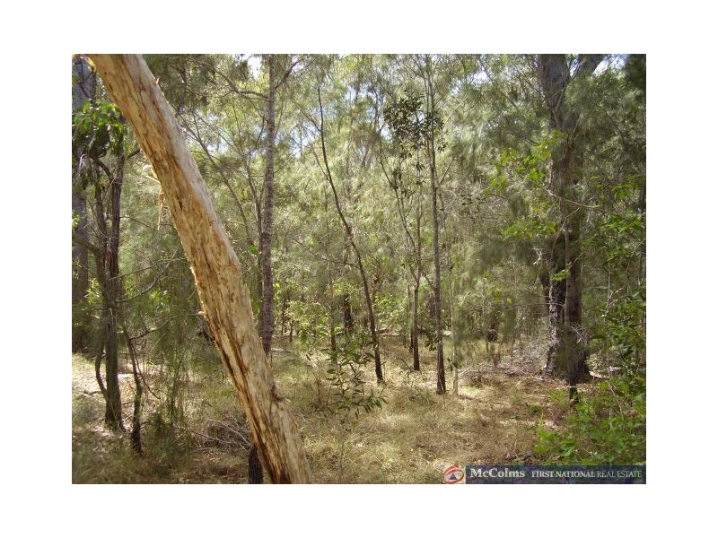 Baffle Creek QLD 4674