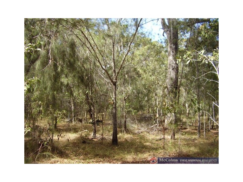 Baffle Creek QLD 4674