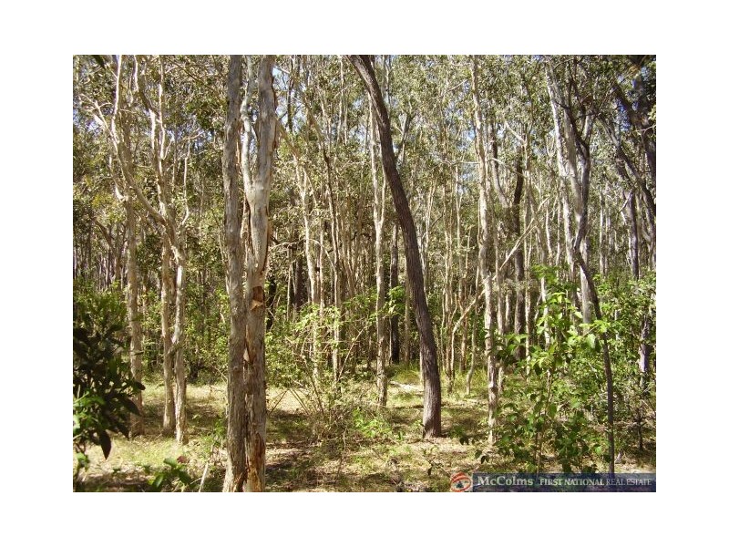 Baffle Creek QLD 4674