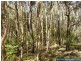 Baffle Creek QLD 4674