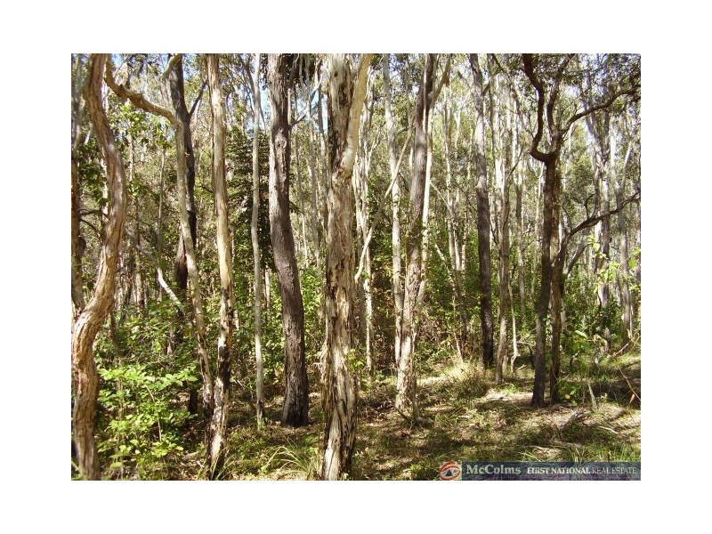 Baffle Creek QLD 4674