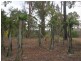 Yandaran QLD 4673