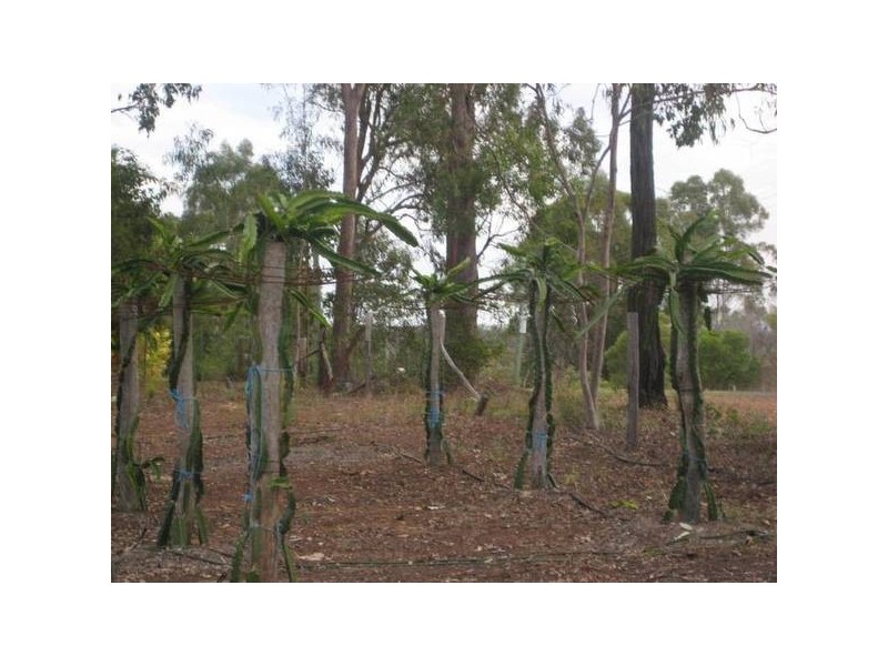 Yandaran QLD 4673