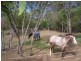 Avondale QLD 4670