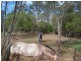 Avondale QLD 4670