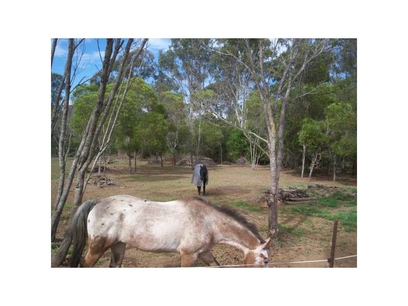 Avondale QLD 4670