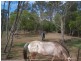 Avondale QLD 4670