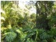 Mount Maria QLD 4674