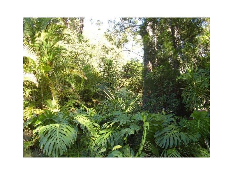 Mount Maria QLD 4674