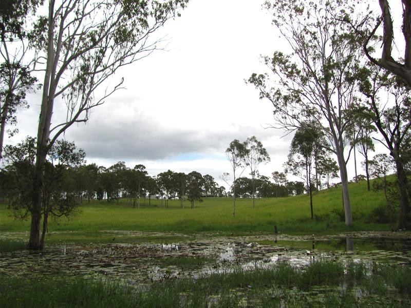 123 Cattle Station Road, Rosedale QLD 4674