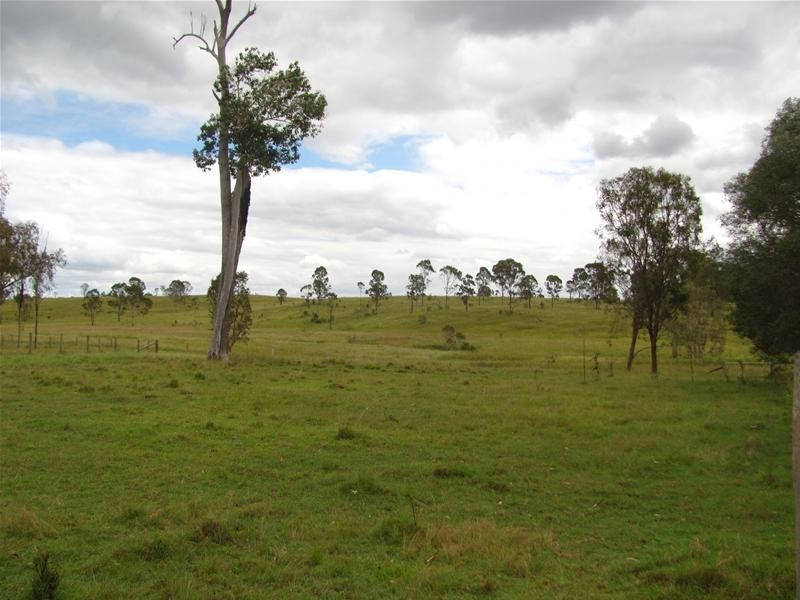 123 Cattle Station Road, Rosedale QLD 4674