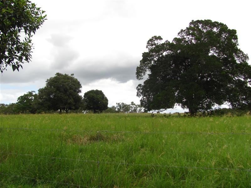 123 Cattle Station Road, Rosedale QLD 4674