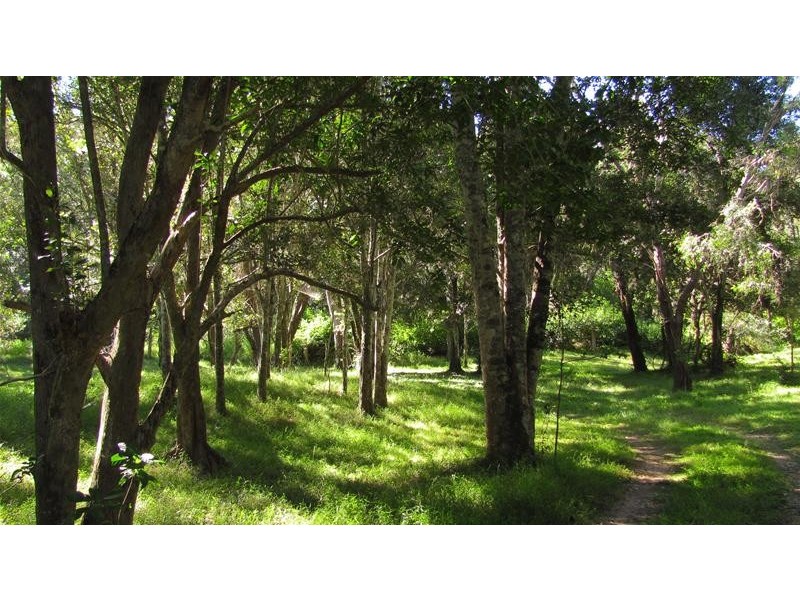 1-2 Brauer Road, Mount Maria QLD 4674