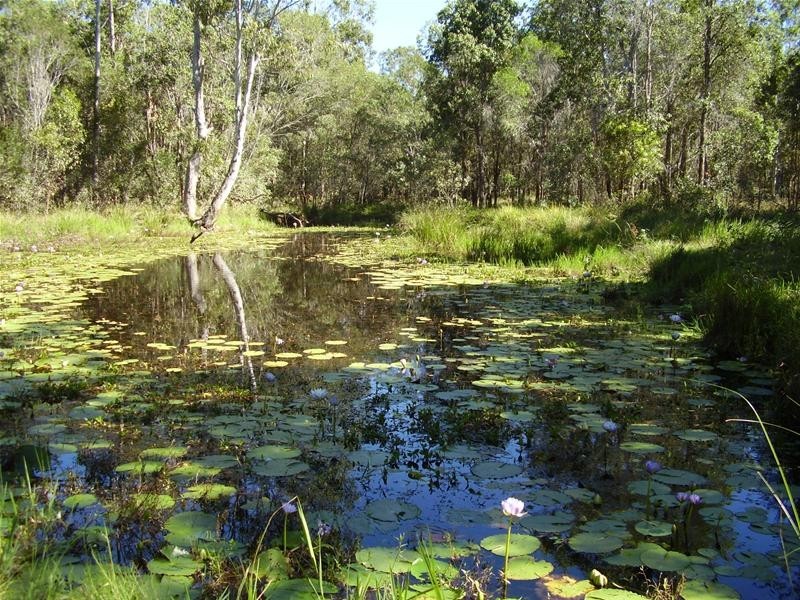 1-2 Brauer Road, Mount Maria QLD 4674