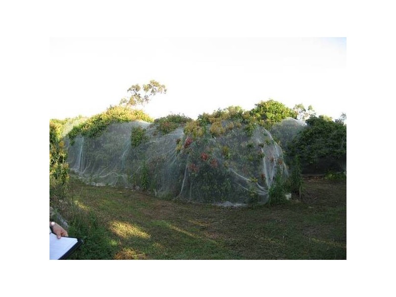 Meadowvale QLD 4670