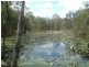 Oyster Creek QLD 4674