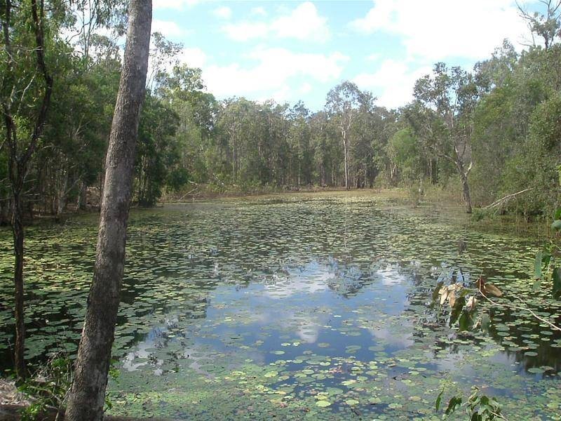 Oyster Creek QLD 4674