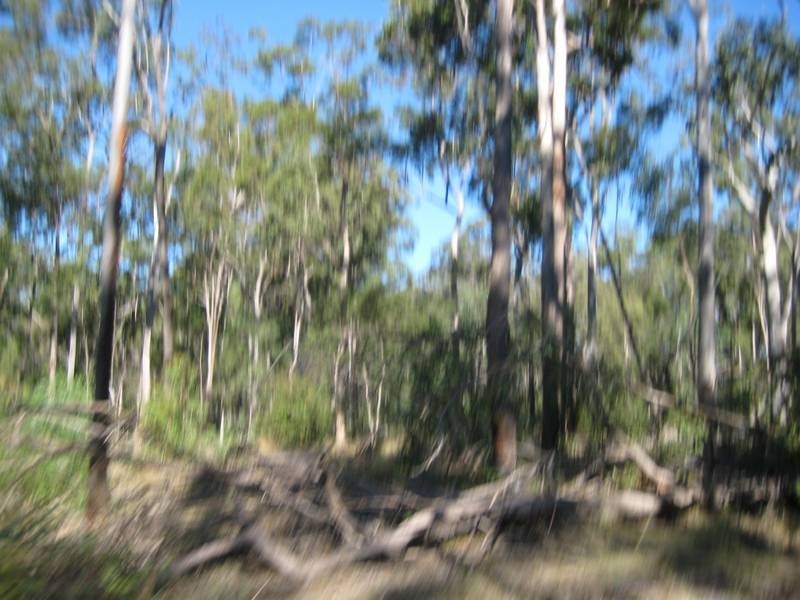 Dallarnil QLD 4621