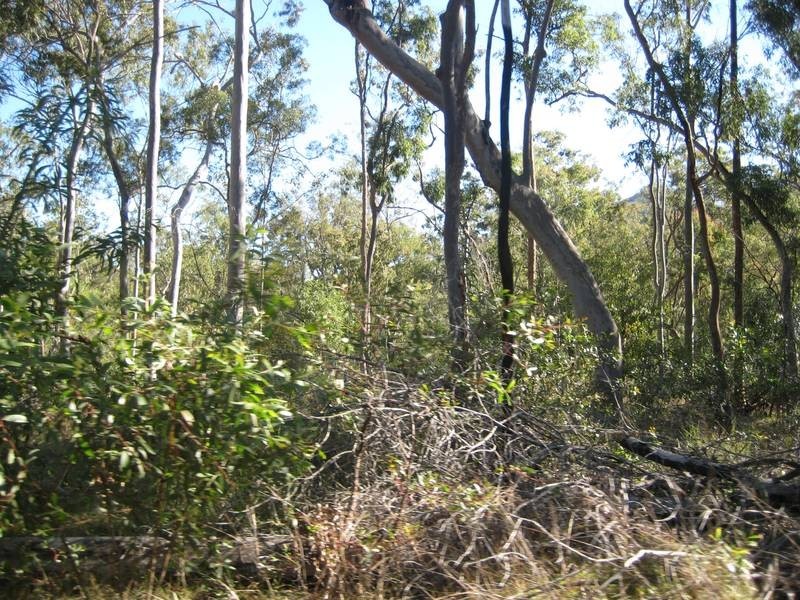 Dallarnil QLD 4621
