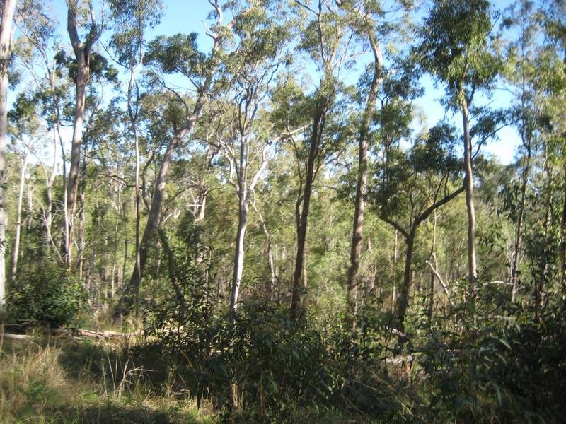 Dallarnil QLD 4621